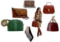 Colors for Fall